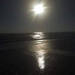 kathy rocco - @roccokathy - Instagram