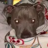 Kathy&Rocco - @userrocodeluxe1 - TikTok
