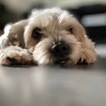 Kathy Roden Burkes - @krodenburkes - Instagram