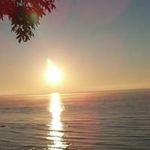 Kathy Rohde - @kathyrohde - Instagram