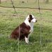 Kathy Rohde - Facebook