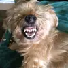 Kathy Rohrer - @kathyrohrer - TikTok