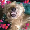 kathy rohrer - @kbingo45 - TikTok