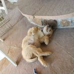 Kathy Rohrer - @kathleenrohrer - Instagram