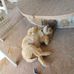 Kathy Rohrer - Facebook