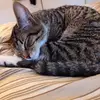 Kathy Rohrer - @kathy.rohrer - TikTok