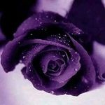 Kathy Roller - @rollerkathy - Instagram
