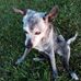 Kathy Rook - Facebook