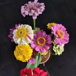 Kathy Rooke - @kathy.rooke.7 - Instagram
