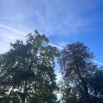 Katherine Rossignol - Facebook