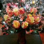 Kathy Rossignol - @krossignol60 - Instagram