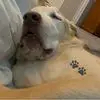 Kathy Miller-Roundtree - @kathy.millerround - TikTok