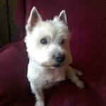 Kathy Rowland - @kathyr1949 - Instagram