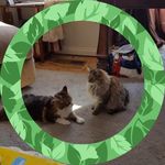 Kathy Rowland Bekemeier - @kathy_rowland_bekemeier - Instagram