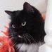 Kathryn Royston - Facebook