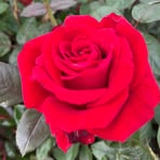 Katherine Ruark - Facebook