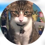 Kathy Ruark - @kathyruark293 - Instagram