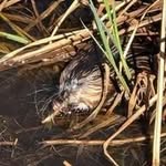 Kathy Runge - @runge6761 - Instagram