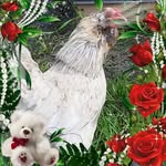 Kathy Rupert - @kathyrupert472 - Instagram