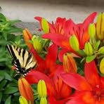 Kathy Rupert - Facebook