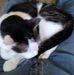 Kathy Rutkowski - Facebook