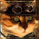 Kathy Rutkowski - @sandy_kitty23 - Instagram