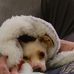 Kathy Rutter - Facebook