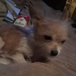 Kathy Ryals - @kathy.ryals.370 - Instagram