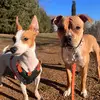KATHY AND SABAH - @kathy.sabah - TikTok