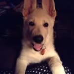 Kathysadler - @kathysadler9953 - Instagram