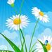 Kathy Saint - Facebook