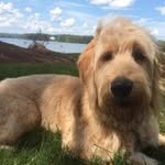Kathy Sales - @kathycarolinas - Instagram