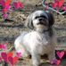Kathy Sammons - Facebook