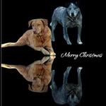 Kathy Steinhaus-Sammons - @kathysammons - Instagram