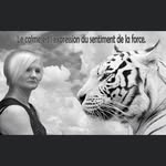 Kathy Samsel - @kathy_samsel - Instagram