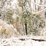 Kathy Burlinson Samuelson - @burlinsonsamuelson - Instagram