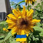 Kathy Farmer Samuelson - @katbrenmom - Instagram