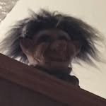 Kathy Sandberg - @kathy.sandberg.72 - Instagram