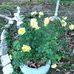 Kathy Sandlin - Facebook