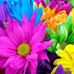 Katherine Saul - Facebook