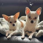 Kathy Saul Hollingsworth - @katholls - Instagram