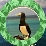 Kathy Scanlan - @kathyscanlan3 - Instagram
