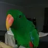 Kathy Seres - @kathy.scanlan26 - TikTok