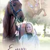 kathyscanlankarpe - @kathy.scanlan.kar - TikTok