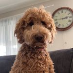 suzanne kathy scanlan - @scanlansuzannekathy - Instagram