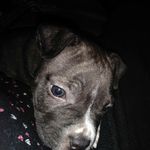 Kathy Schaffer - @kathy.schaffer.3 - Instagram