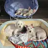kathyschaffnerkop - @kathy.schaffnerko - TikTok