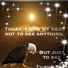kathyschell548 - @kathyschell548 - TikTok
