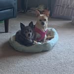 Kathy Schlichting McDonald - @kathy762021 - Instagram