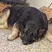 Kathy Schnell - Facebook